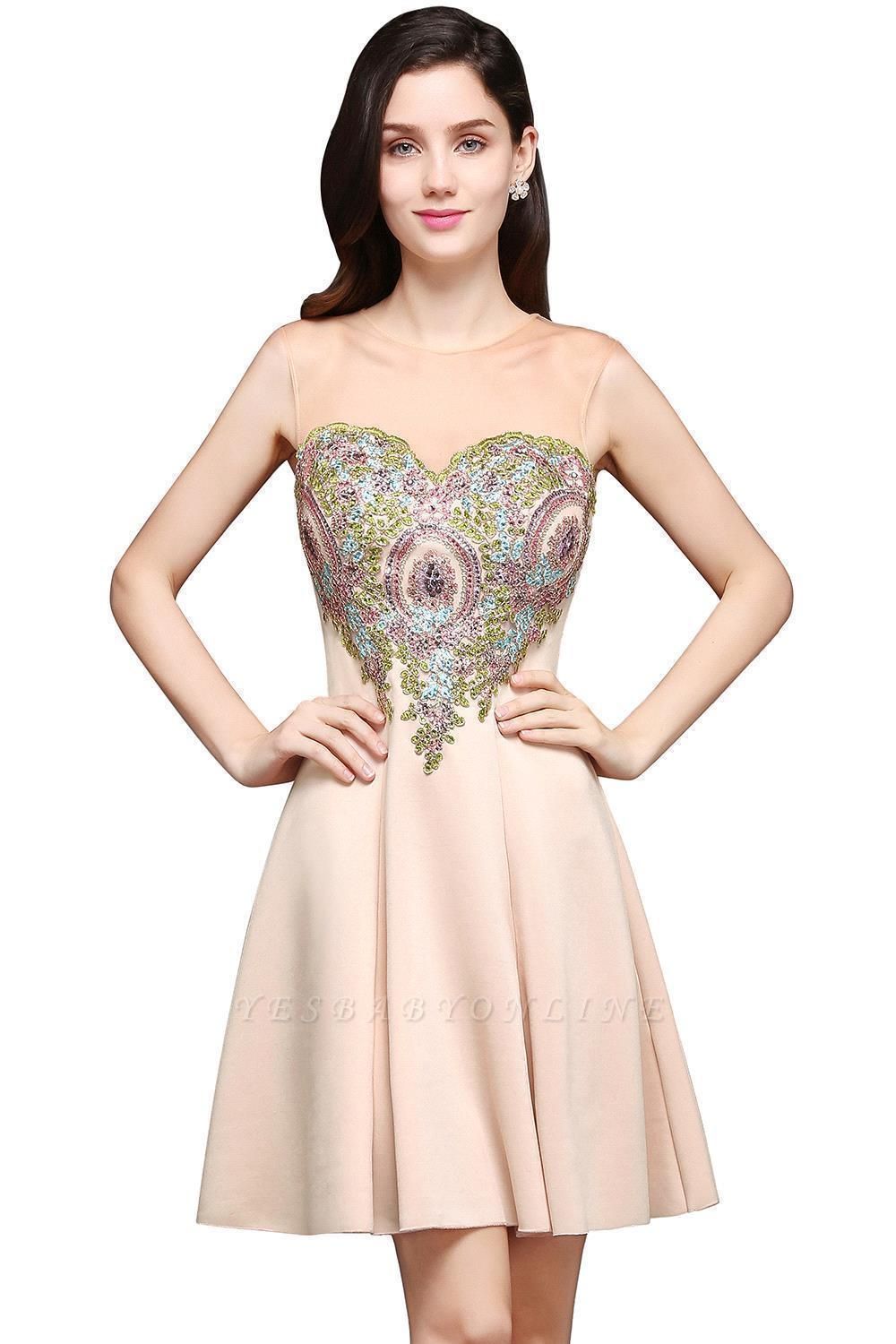 A-line Scoop Chiffon Short Homecoming Dress With Appliques