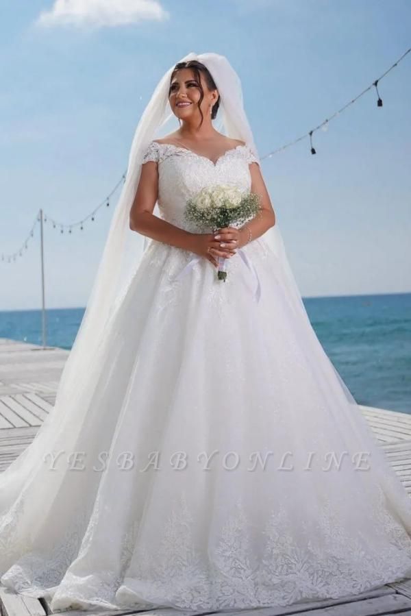 Elegant Off the Shoulder Chapel Sleeveless Tulle Ball Gown Wedding Dress with Appliques