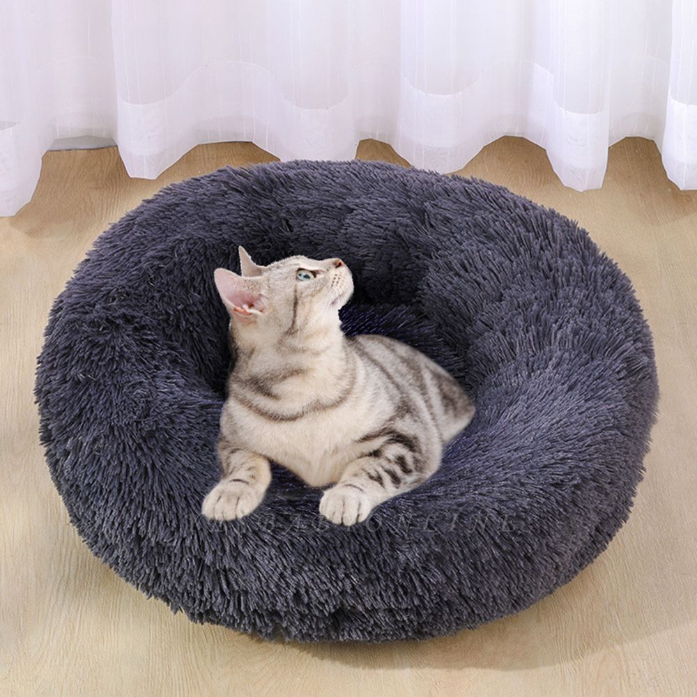 pet bed