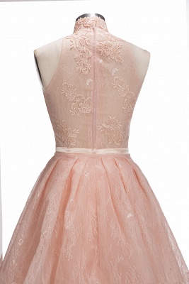 Illusion Unique Lace Sheath Puffy Sleeveless Popular High-Neck Overskirt Prom Dress_7