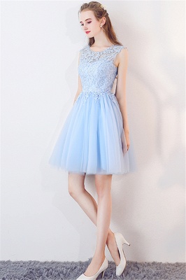Baby-Blue Lace  Short Appliques Sleeveless Homecoming Dresses_4