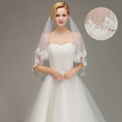 Elegant Two Layers Lace Edge Wedding Veil Appliques Long Bridal Veil_3