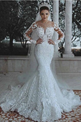 Glamorous Long Sleeves Wedding Dress | Mermaid Lace Bridal Gowns ...