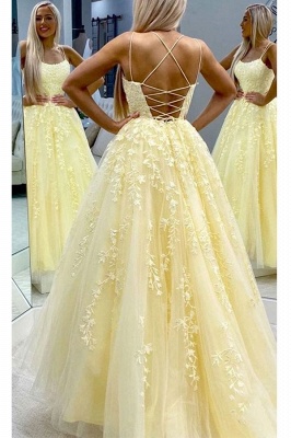 Elegant Spaghetti Strap Strapless Backless Applique Lace A Line Prom Dresses | Sleeveless Evening Dresses_4