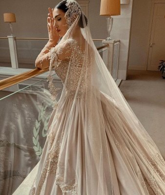 Elegant Long Sleeves Champagne Lace Wedding Dresses Long_3
