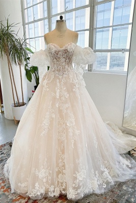 Garden Sleeveless Floor Length Garden Strapless Tulle Lace Wedding Dress with Appliques_2