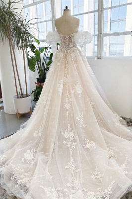 Garden Sleeveless Floor Length Garden Strapless Tulle Lace Wedding Dress with Appliques_3