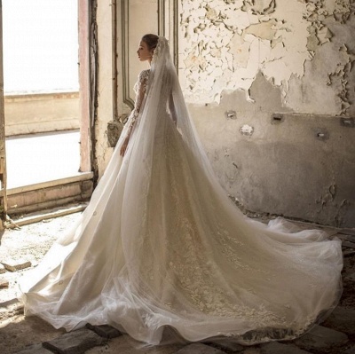 Alluring Deep V Neck Applique Pleats A Line Wedding Dresses | Floral Bridal Gown_4