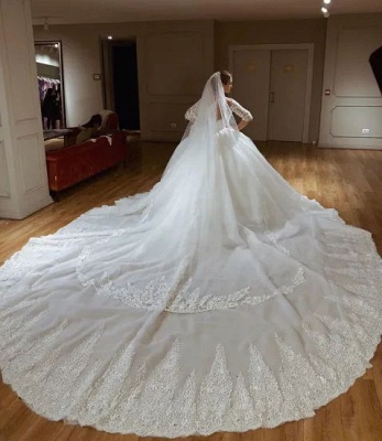 Sweetheart Lace Princess Wedding Dresses with Long Sleeves | Ball Gown ...