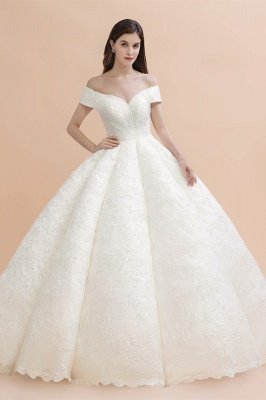 Gorgeous Off The Shoulder Ball Gown Wedding Dress | Lace Backless Bridal Gown_1