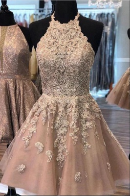 Classy High Neck Appliques Lace Party Dress A-line Tulle Short Prom Dress_2