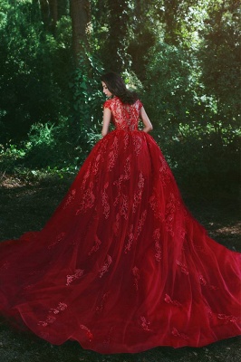 Red Glamorous Lace V-Neck Over-Skirt Applique Prom Dresses_5
