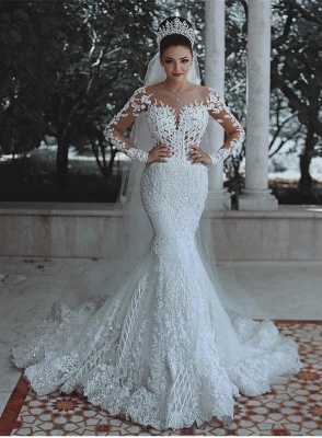Glamorous Long Sleeves Wedding Dress | Mermaid Lace Bridal Gowns_1
