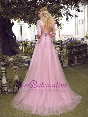 Special Fashion  Sleeve Pink Long Sheath Evening Dresses Occasion Dresses_3