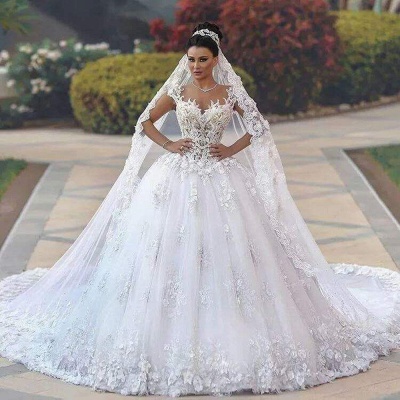 Luxurious Lace Sleeveless Appliques Princess Wedding Dress_3